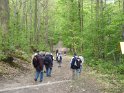 2010-05-06 10-29-16 Foret de Meudon CGn